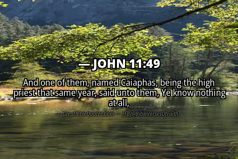JOHN 11:49 Verse Image