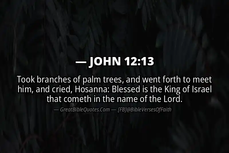 JOHN 12:13 Verse