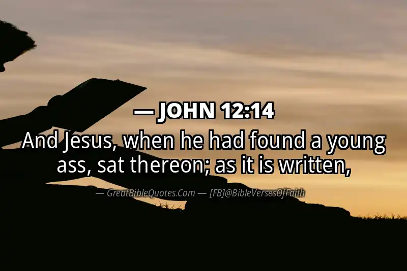 JOHN 12:14 Verse