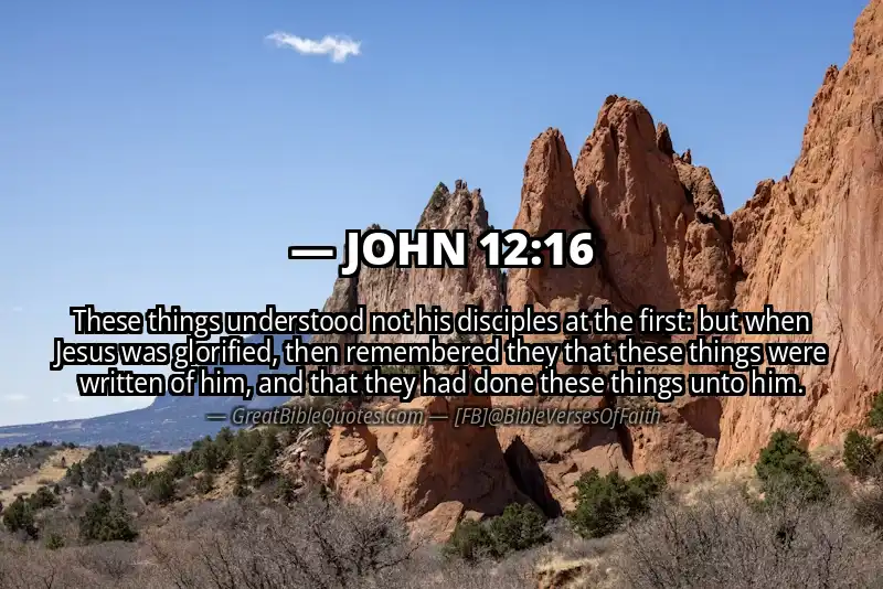 JOHN 12:16 Verse