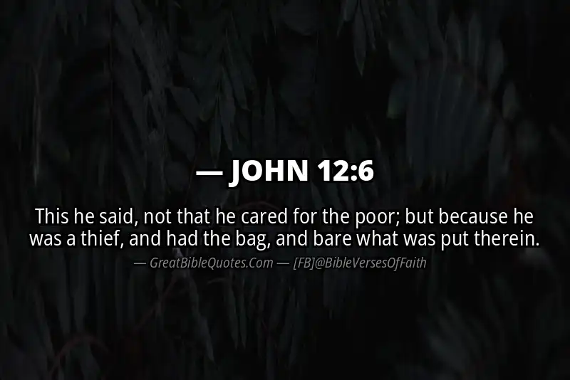 JOHN 12:6 Verse Image