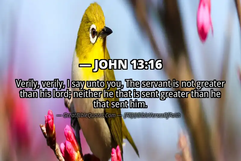 JOHN 13:16 Verse