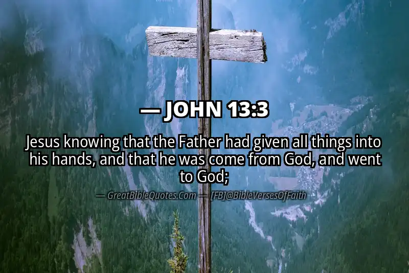 JOHN 13:3 Verse