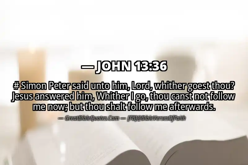 JOHN 13:36 Verse