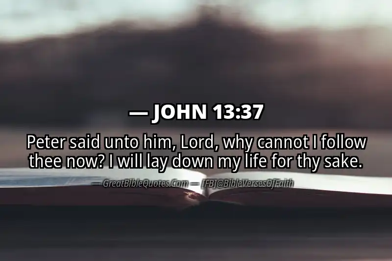 JOHN 13:37 Verse