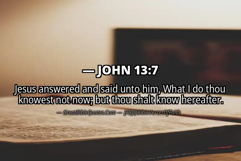 JOHN 13:7 Verse