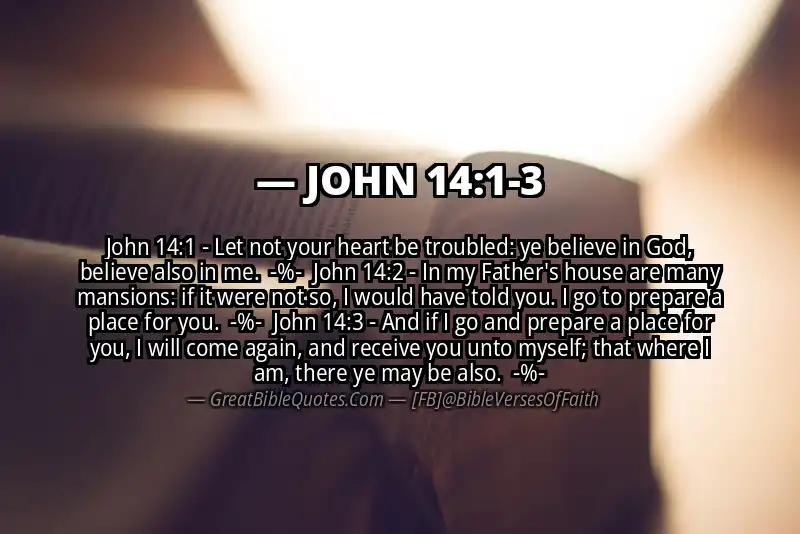 Image for JOHN 14:1-3 Bible verse