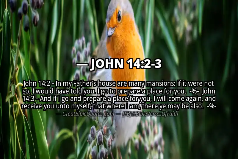 Image for JOHN 14:2-3 Bible verse