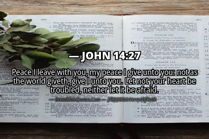 Image for JOHN 14:27 Bible verse