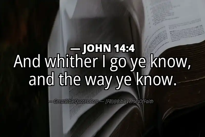 JOHN 14:4 Verse