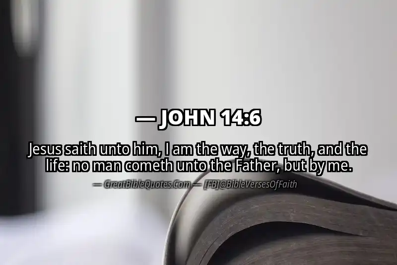 JOHN 14:6 Verse Image