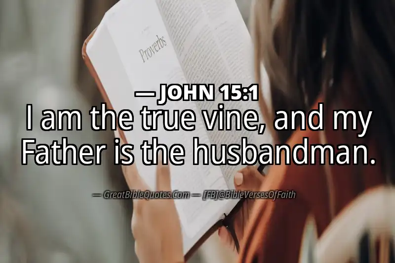 JOHN 15:1 Verse