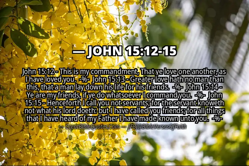 Image for JOHN 15:12-15 Bible verse