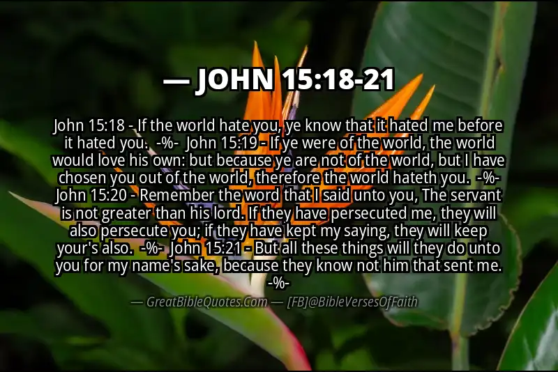 Image for JOHN 15:18-21 Bible verse