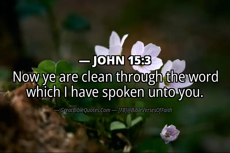 JOHN 15:3 Verse Image