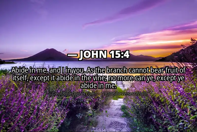 Image for JOHN 15:4 Bible verse