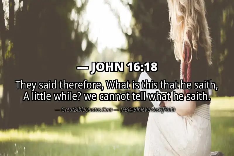 JOHN 16:18 Verse