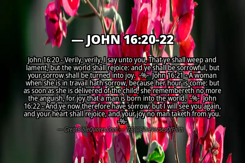 Image for JOHN 16:20-22 Bible verse