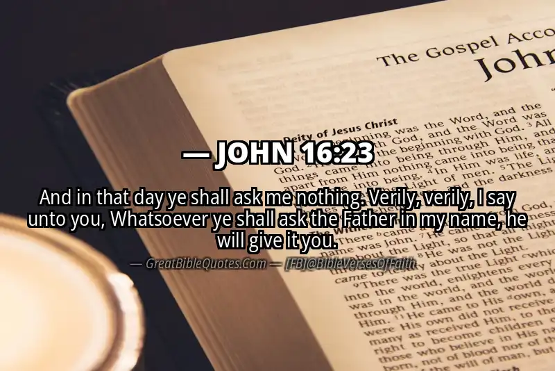 JOHN 16:23 Verse