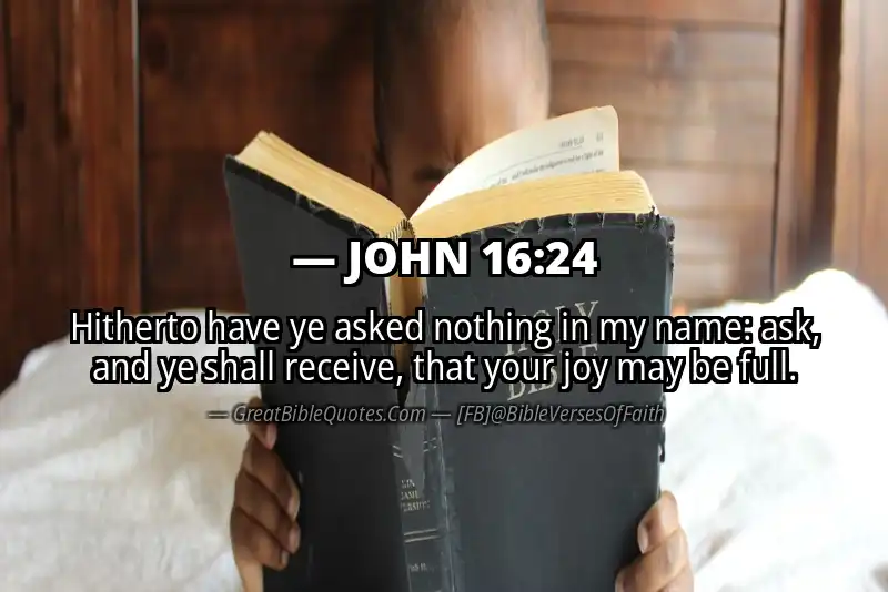 JOHN 16:24 Verse