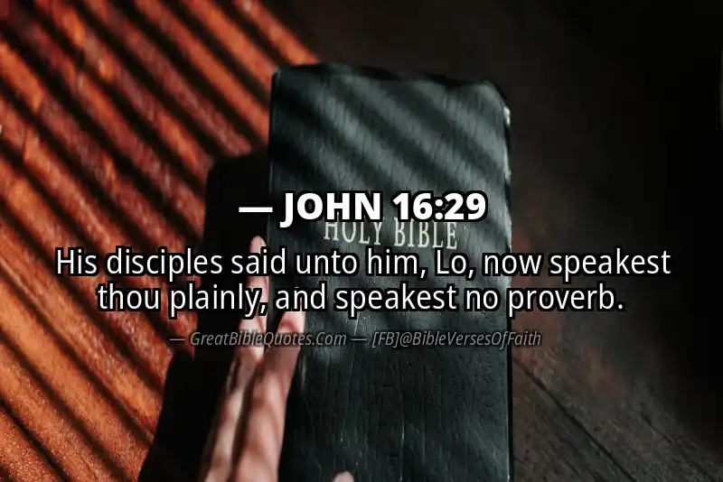 JOHN 16:29 Verse