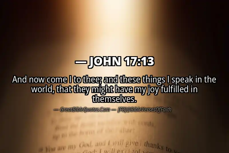 JOHN 17:13 Verse