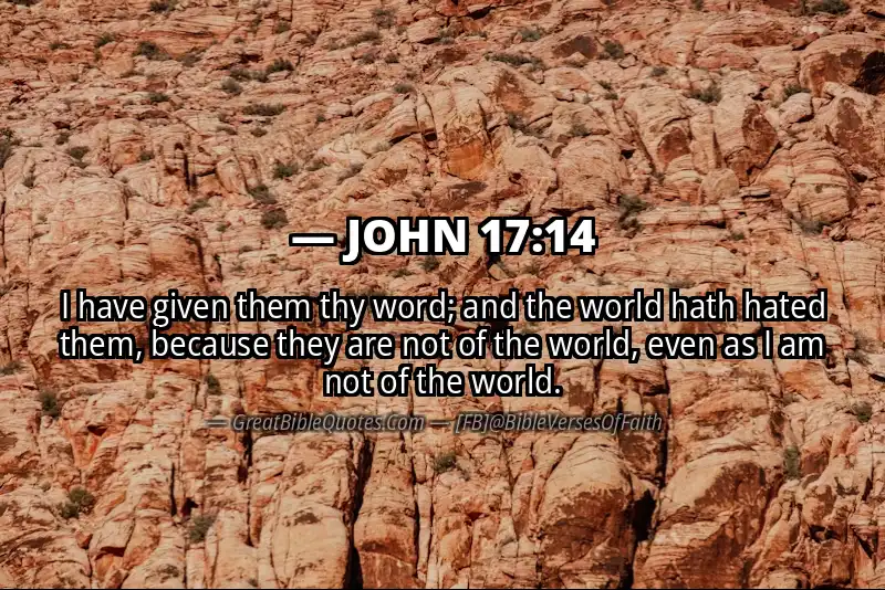 JOHN 17:14 Verse