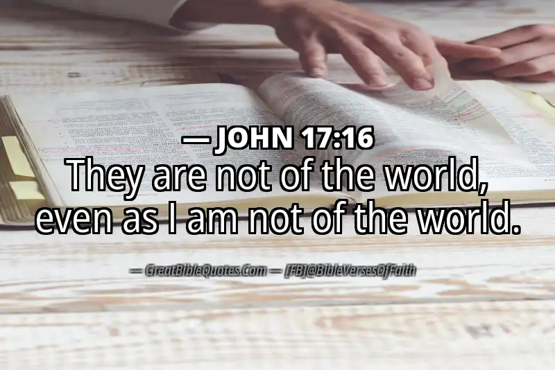 JOHN 17:16 Verse