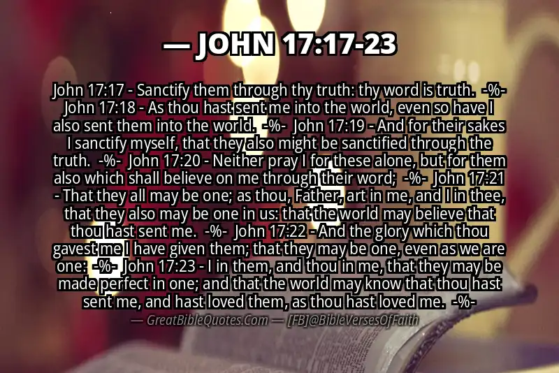 Image for JOHN 17:17-23 Bible verse