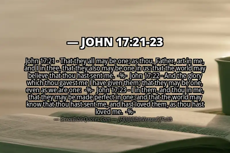 Image for JOHN 17:21-23 Bible verse
