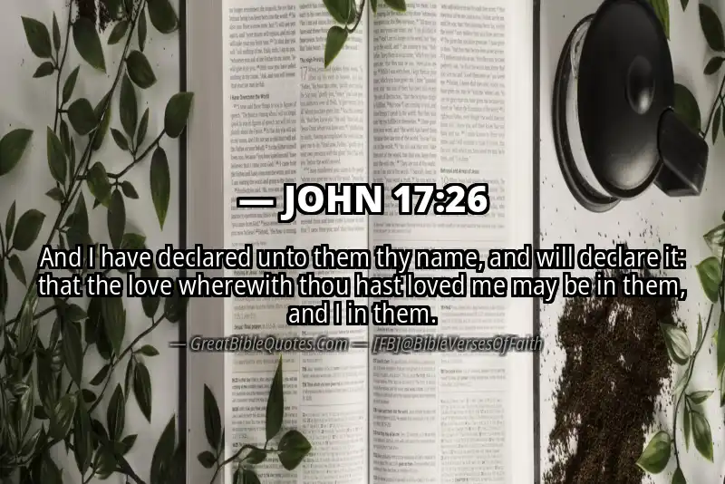 JOHN 17:26 Verse Image