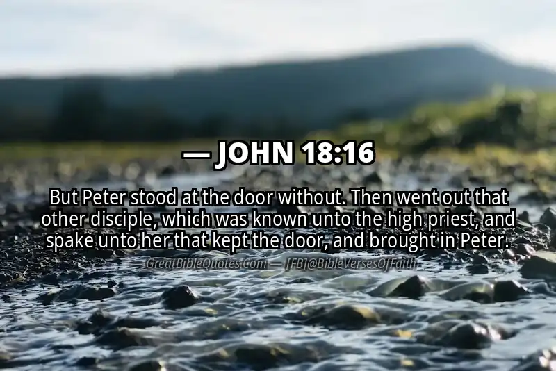 JOHN 18:16 Verse