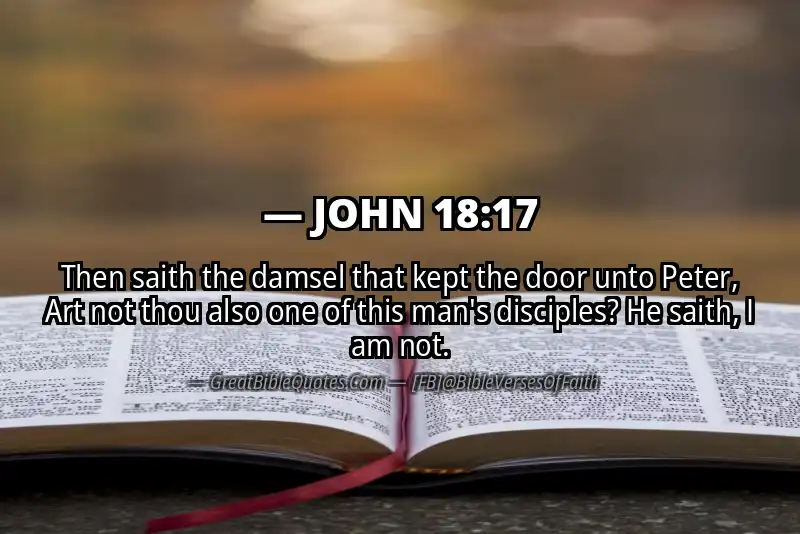 JOHN 18:17 Verse Image