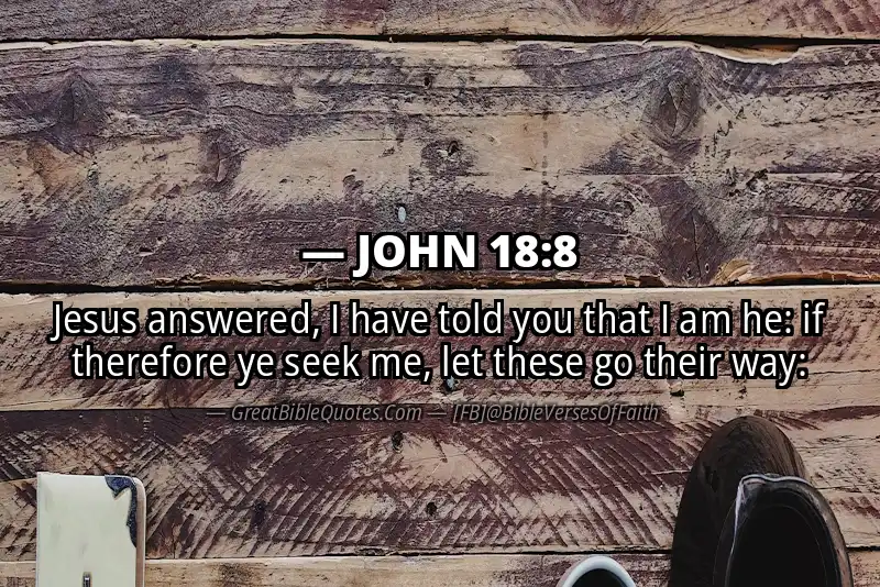 JOHN 18:8 Verse