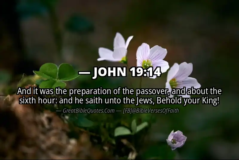 JOHN 19:14 Verse