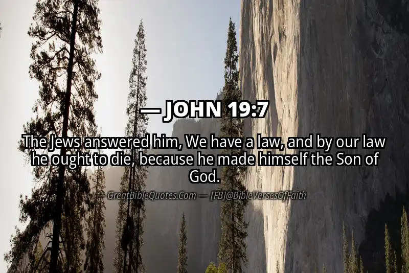 JOHN 19:7 Verse