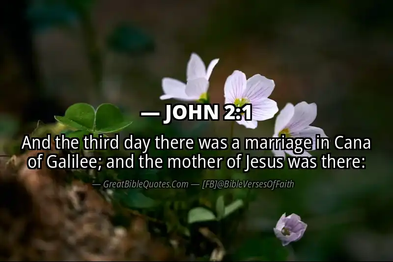 JOHN 2:1 Verse
