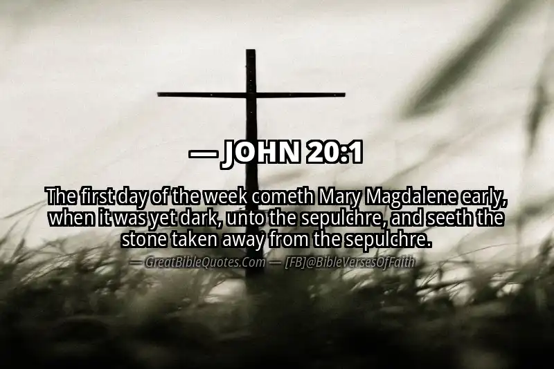 JOHN 20:1 Verse Image