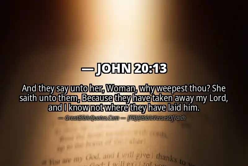 JOHN 20:13 Verse