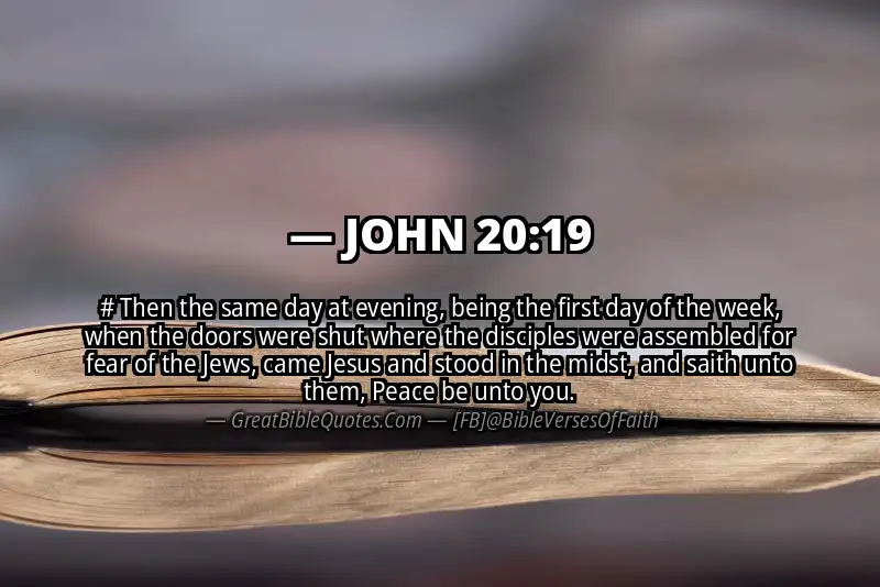 JOHN 20:19 Verse