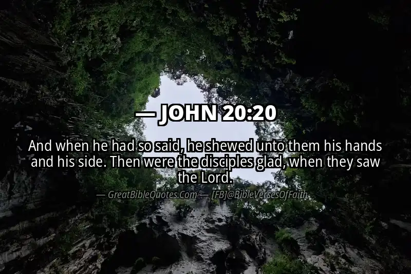 JOHN 20:20 Verse