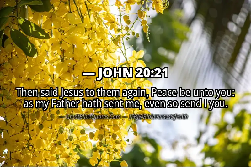 Image for JOHN 20:21 Bible verse