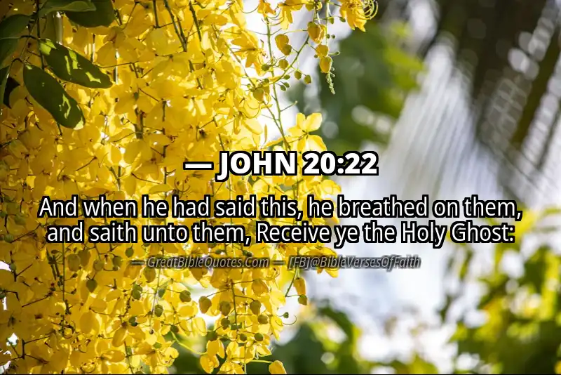 JOHN 20:22 Verse