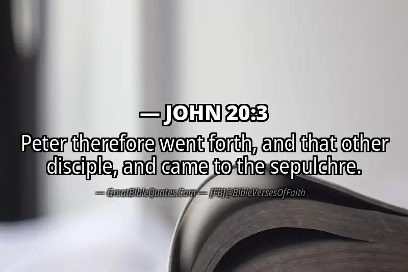 JOHN 20:3 Verse