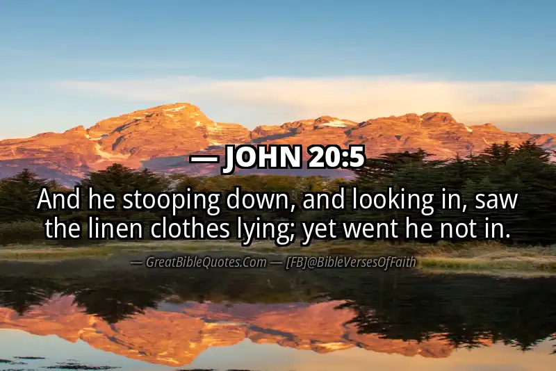 JOHN 20:5 Verse