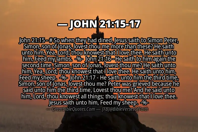 Image for JOHN 21:15-17 Bible verse