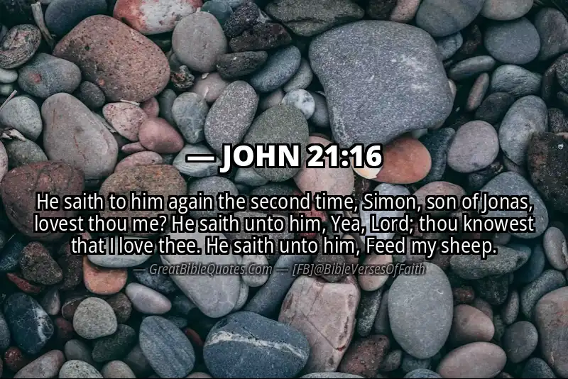 JOHN 21:16 Verse
