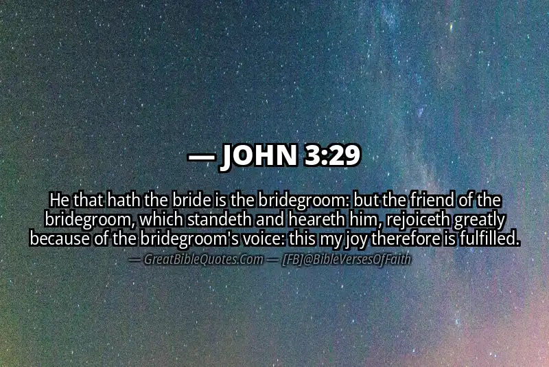 Image for JOHN 3:29 Bible verse