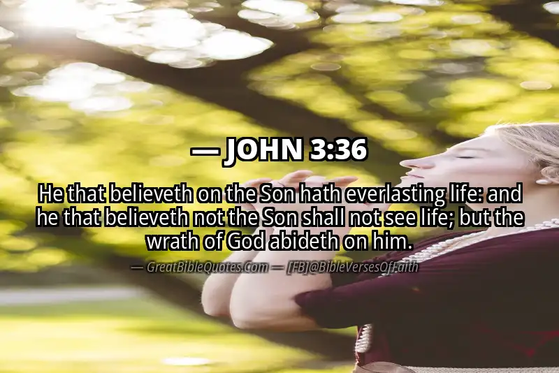 Image for JOHN 3:36 Bible verse