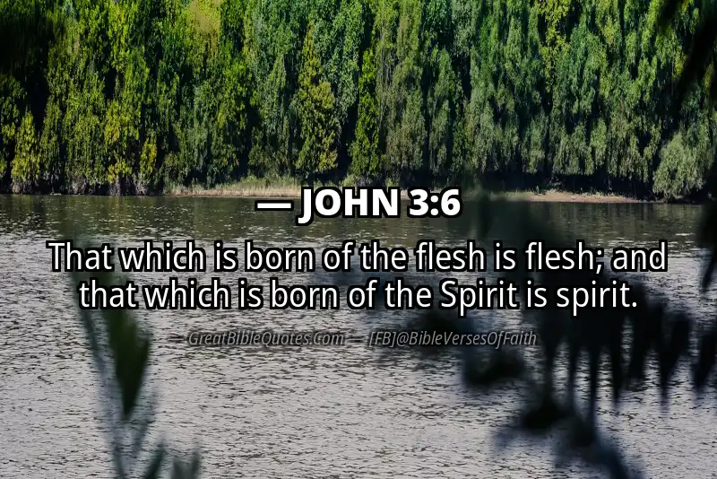 JOHN 3:6 Verse